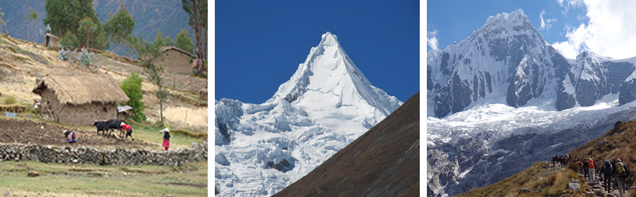 Cedros Alpamayo - Santa Cruz Trek